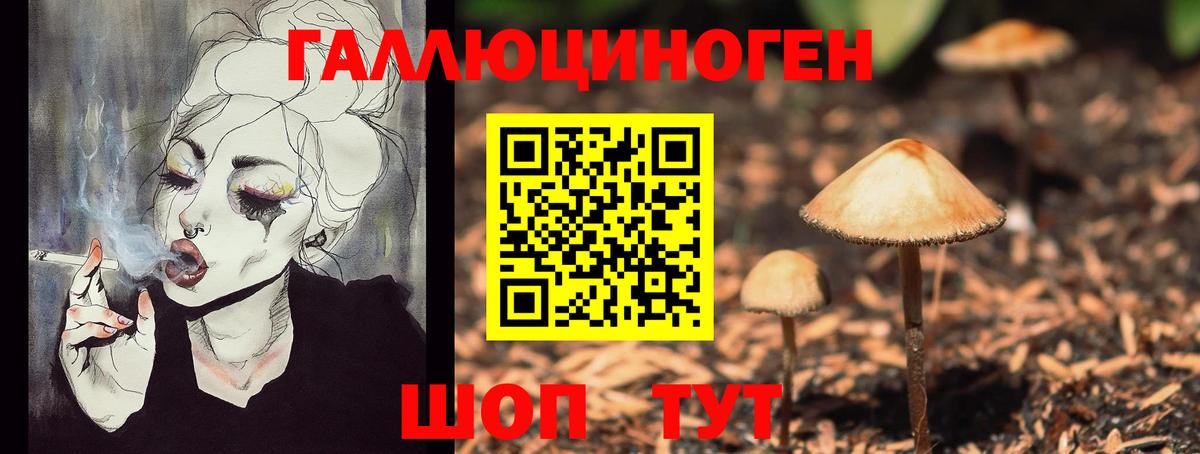 Галлюциногенные грибы GOLDEN TEACHER Вышний Волочёк
